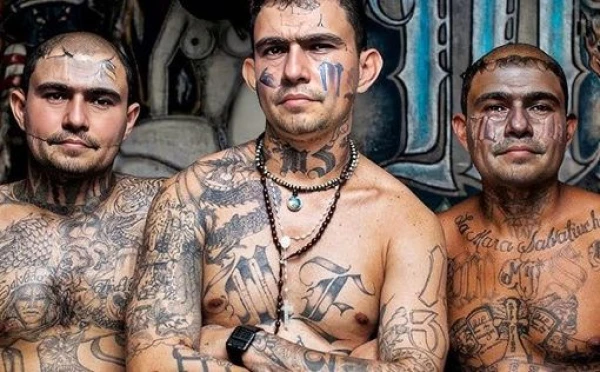 Изображение к статье: Организованная преступность в Бразилии растет, затронув 28,5 миллионов человек