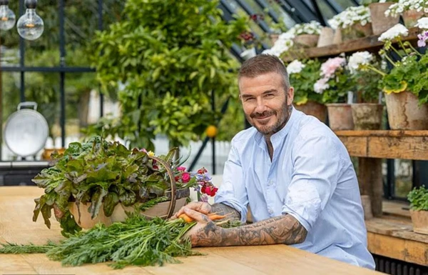 Изображение к статье: Фото: Daily Mail