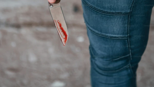 Изображение к статье: В Ирландии подросток из Сомали зарезал украинца