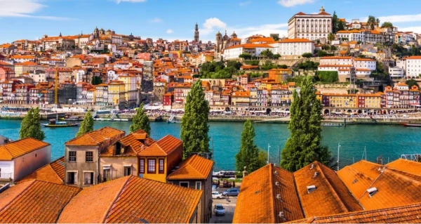 Изображение к статье: Видит око, да зуб неймет.