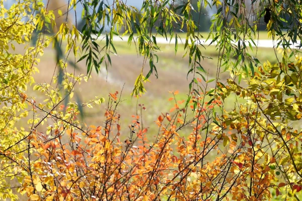 Изображение к статье: Вторник принесёт солнечную погоду. Но будет ли тепло?