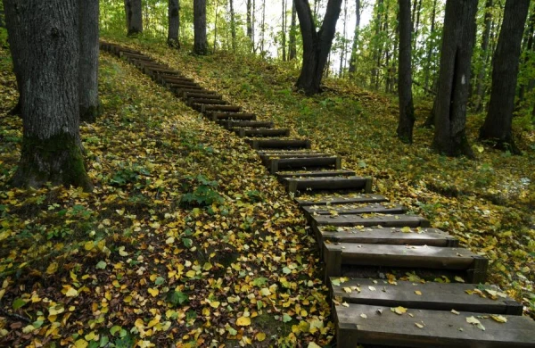 Изображение к статье: В среду существенных осадков не ожидается