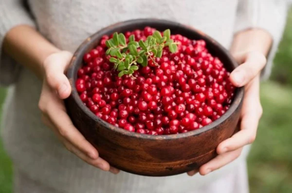 Изображение к статье: Суперсила. Врач назвала продукт против бактерий и холестерина