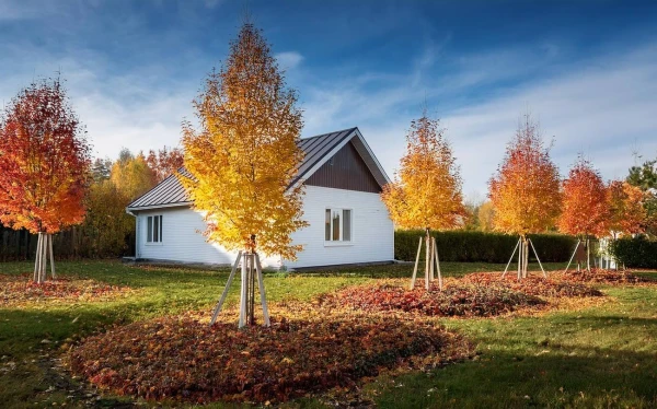 Изображение к статье: Осенние хлопоты: 5 дел, которые нужно успеть сделать на даче до декабря