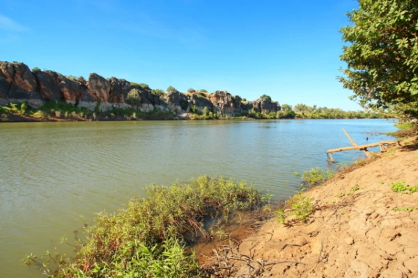 Изображение к статье: В Австралии реку с крокодилами в признали пригодной для проведения Олимпийских игр