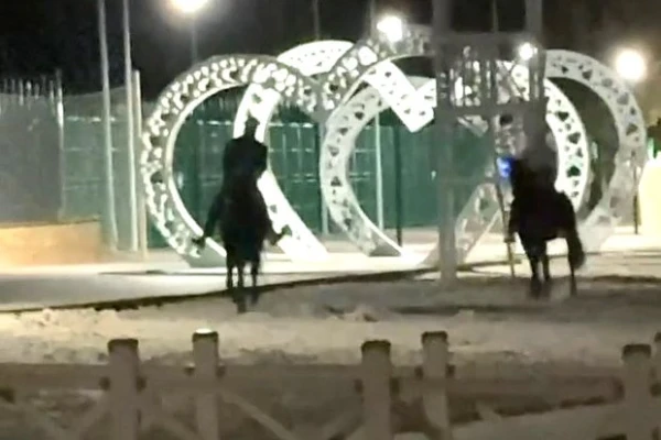 Изображение к статье: Всадники в масках напали на пенсионеров