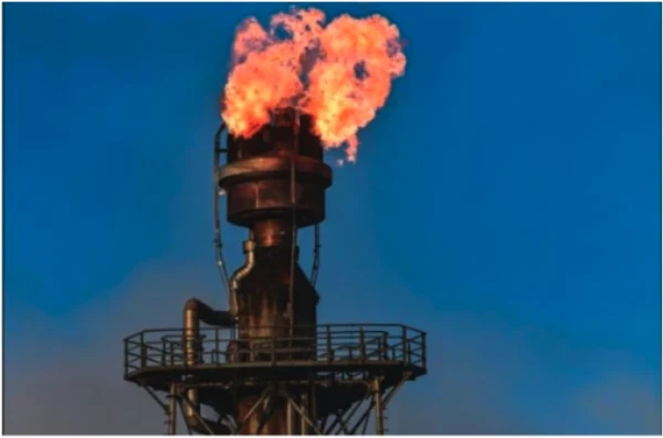 Изображение к статье: Крупнейший индийский импортер нефти из России ускорил закупки на других рынках