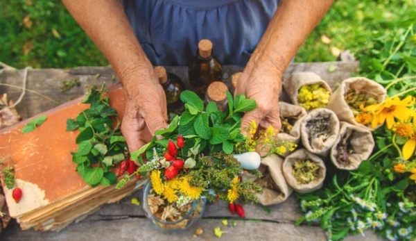 Изображение к статье: 82 % книг о лечении травами на Amazon, вероятно, сгенерированы ИИ