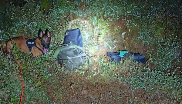 Изображение к статье: Фото погранохраны ЛР