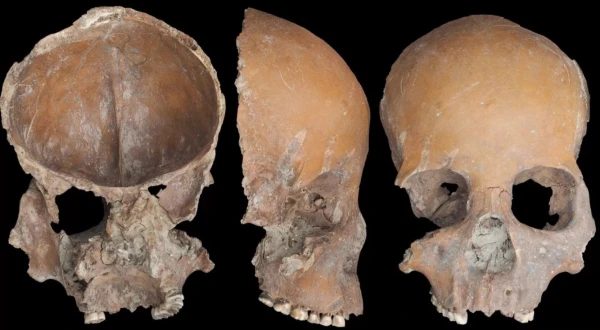 Изображение к статье: Находки свидетельствуют о древнем ритуале.