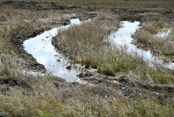Изображение к статье: Сильные дожди летом обошлись государству в 91 тысячу евро