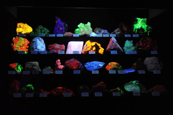 Изображение к статье: «От всего сердца благодарим всех». Любимый посетителями природный музей в Алуксне закрывается