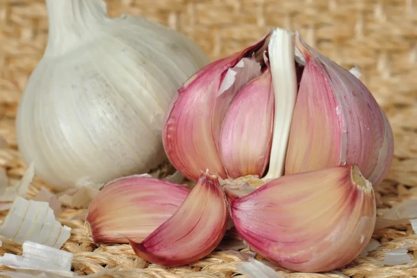 Изображение к статье: Как подготовить чеснок к посадке на зиму: «женские» зубчики дают наибольший урожай