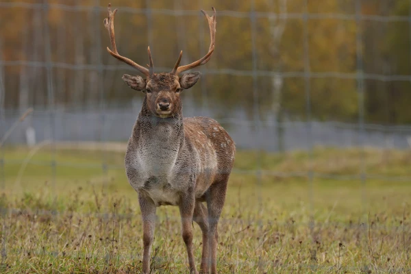 Изображение к статье: В понедельник на погодные условия влияет крупный циклон