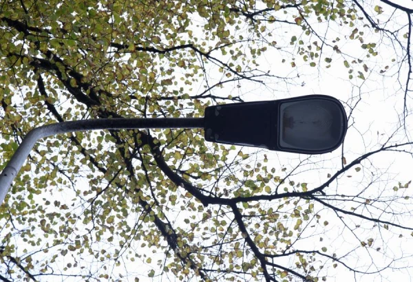 Изображение к статье: Да будет LED! На рижских улицах поменяют лампочки на миллион евро