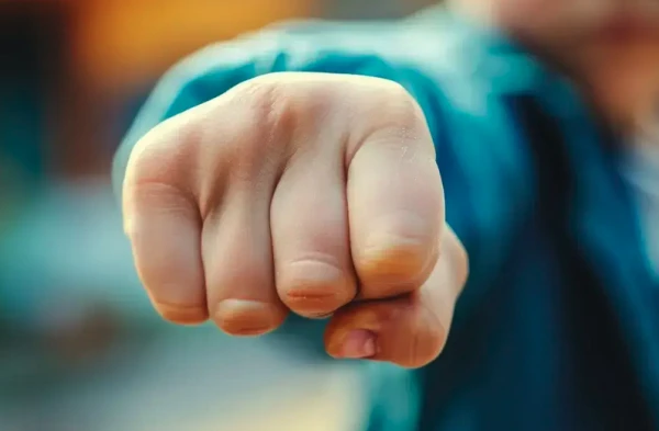 Изображение к статье: Мужчина набросился с вилкой на двух подростков во время полета в Европу