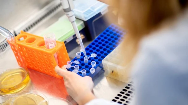 Изображение к статье: Обнаружено уязвимое место смертоносного вида рака