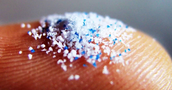 Изображение к статье: Мировые запасы еды оказались под угрозой. Кто виноват?