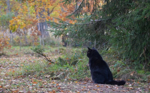 Изображение к статье: Ноябрь удивит: синоптики обещают редкую для этого времени погоду