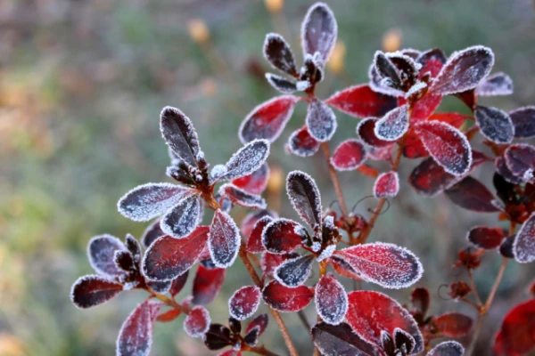 Изображение к статье: Народные приметы на 29 октября — Лонгин-сотник