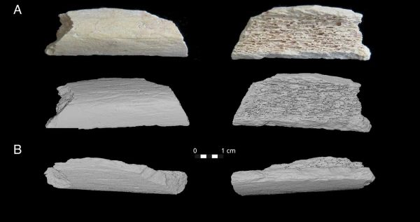 Изображение к статье: А по бокам-то все косточки. Русские?