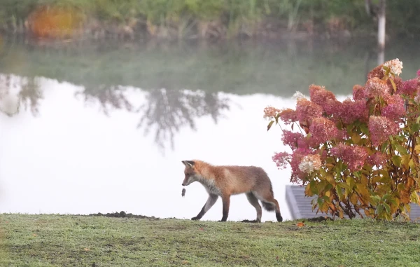 Изображение к статье: С запада приближается циклон
