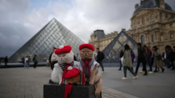 Изображение к статье: А где драгоценности? Во Франции задержали еще пятерых подозреваемых в ограблении Лувра