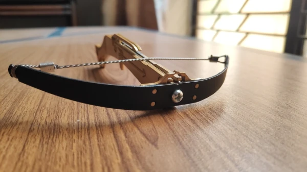 Изображение к статье: В тюрьму Валмиеры пытались доставить запрещённые вещества с помощью арбалета