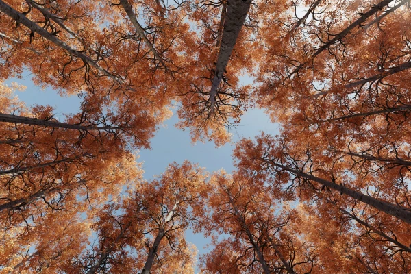 Изображение к статье: Какой будет погода в выходные дни в Латвии? Синоптики дали прогноз