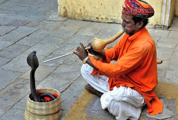 Изображение к статье: Древнее и уважаемое искусство.