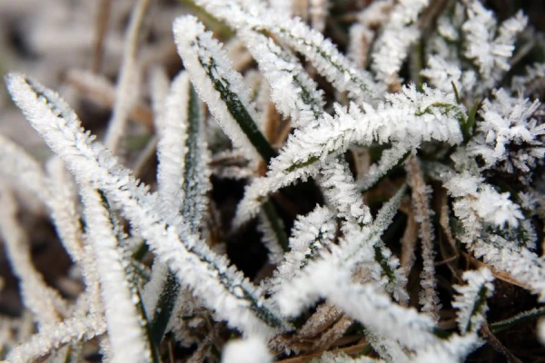 Изображение к статье: Артемьев день: почему наши предки 2 ноября укрепляли забор