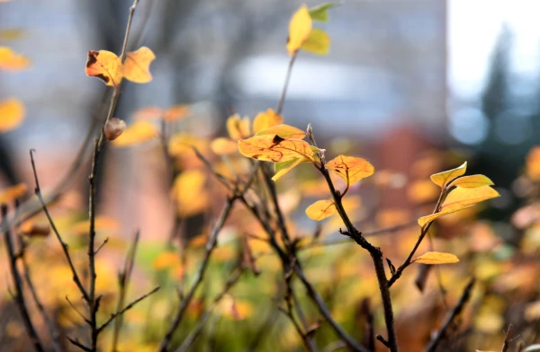 Изображение к статье: Всем гулять! Синоптики рассказали, какие нас ждут выходные
