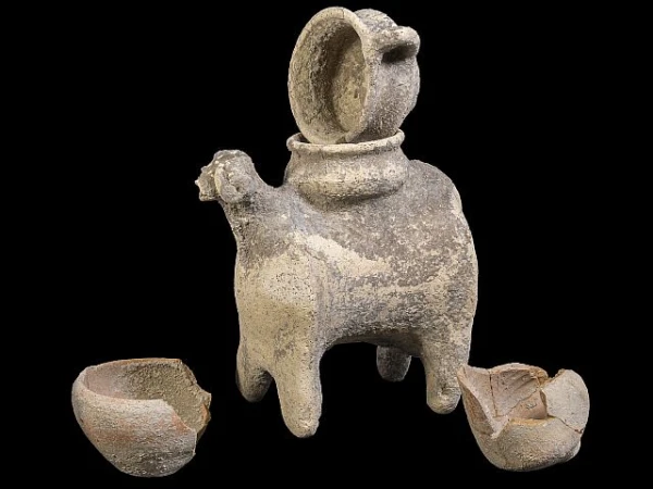 Изображение к статье: Оборудование винодельни было художественно оформленным.