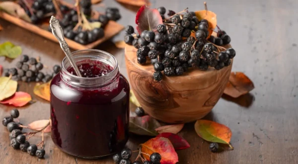 Изображение к статье: Красная или черная: ученые оценили пользу рябины