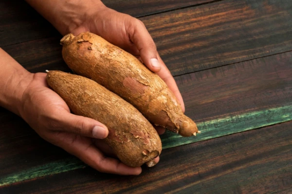 Изображение к статье: Самая опасная еда в мире: что лучше даже не пробовать