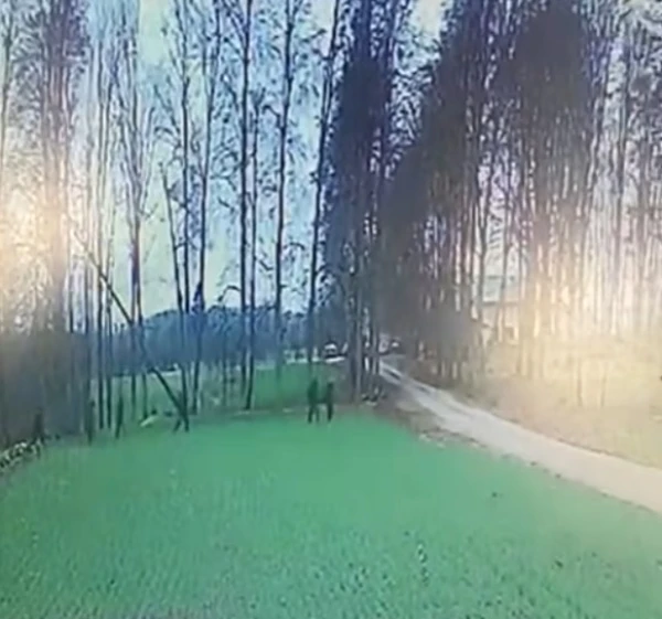 Изображение к статье: «А где ж Великая латвийская стена?» - по Латвии спокойно ходят нелегальные мигранты