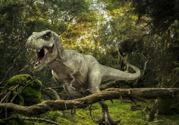Изображение к статье: Определено, сколько пищи потреблял бы тираннозавр ежедневно для насыщения