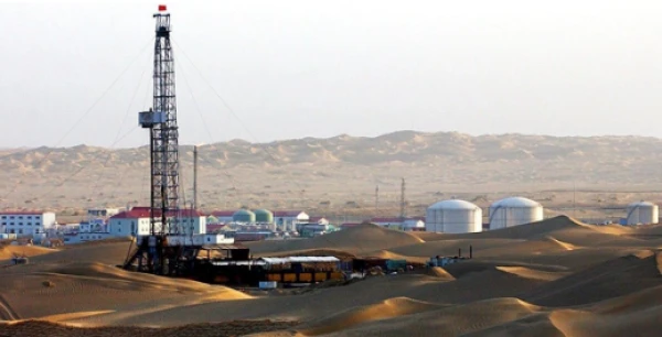 Изображение к статье: Геологические исследования принесли богатые плоды.