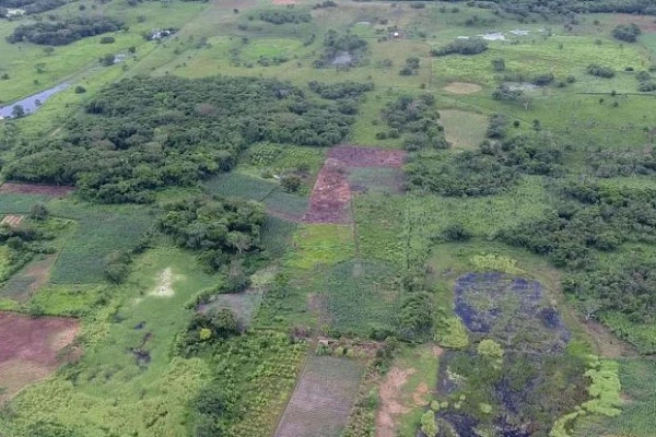 Изображение к статье: Фото: Takeshi Inomata / wikipedia.org