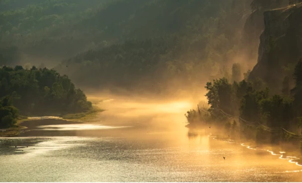 Изображение к статье: На Латвию идет сильный туман - синоптики