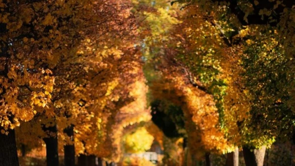 Изображение к статье: В Латвии установлен новый температурный рекорд