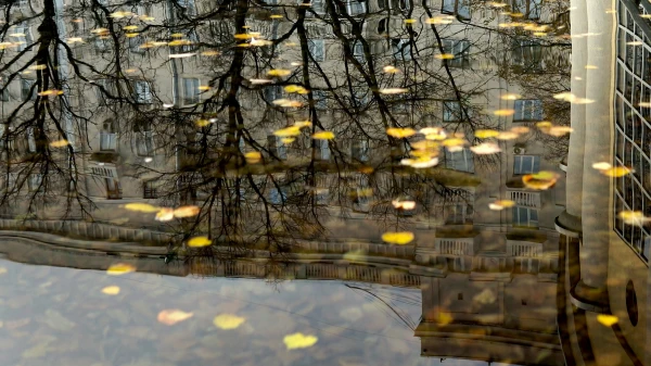 Изображение к статье: А что вы хотели в ноябре? Единственный выходной на неделе будет испорчен