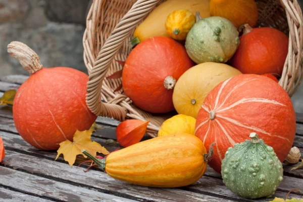 Изображение к статье: В ноябре, патриот, ешь латвийский корнеплод! Фермеры выступили с необычной инициативой