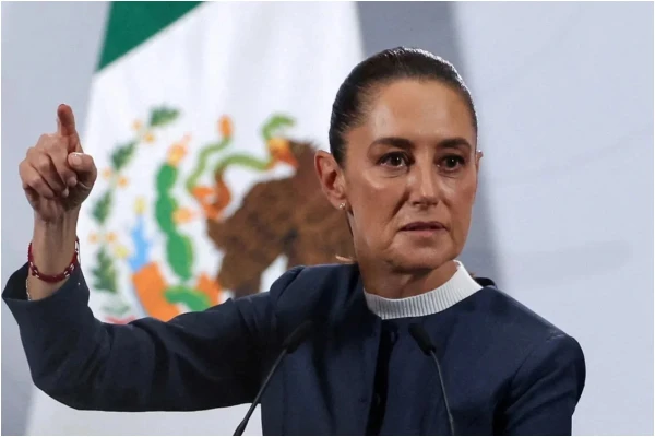 Изображение к статье: Синьора Шейнбаум настроена решительно.