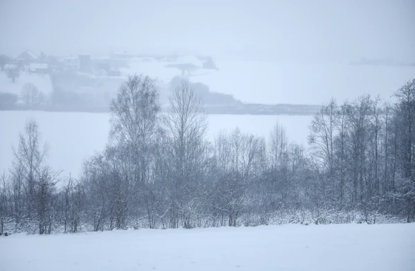 Изображение к статье: Объявлен приговор матери замерзшего зимой под Резекне двухлетнего мальчика
