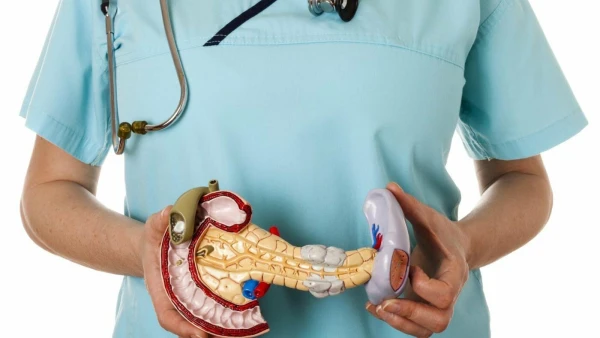 Изображение к статье: Опасные сочетания продуктов, которые вредят поджелудочной железе