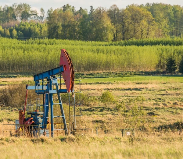 Изображение к статье: Нефтекачалки оживляют курляндский пейзаж.