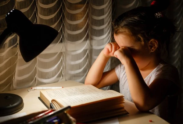 Изображение к статье: Почему 8-летнюю эмигрантку из Латвии не приняли в московскую школу