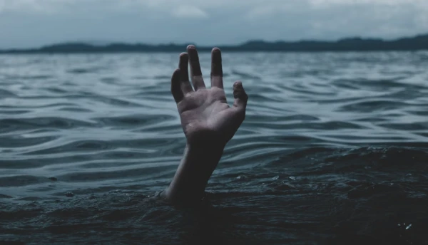 Изображение к статье: Stormseeker / Unsplash