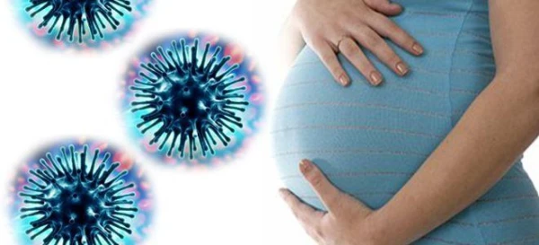 Изображение к статье: В Сейме обсудили возможности гражданок Латвии избежать или прервать беременность